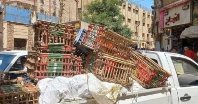 إزالة سوق الزهراء العشوائي بسوهاج وضبط ومصادرة 246 مخالفة مرافق متنوعة