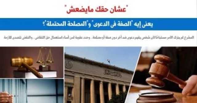 عشان حقك ما يضعش.. يعنى إيه الصفة فى الدعوى والمصلحة المحتملة؟.. برلماني