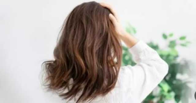 وصفات طبيعية لعلاج مشكلات الشعر الشائعة أبرزها قشرة الرأس المرأة والمنوعات