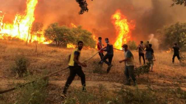 حرائق الغابات.. ارتفاع عدد الوفيات في اليونان وإيطاليا والجزائر تفتح تحقيقا في أسباب اندلاعها
