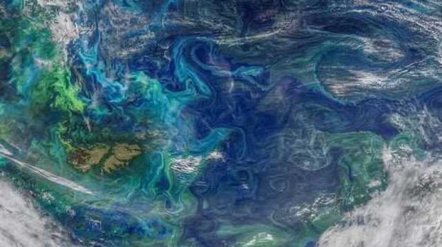 العلوم والتكنولوجيا عالم محيطات روسي يشكك في اختفاء Gulf Stream عام 2025