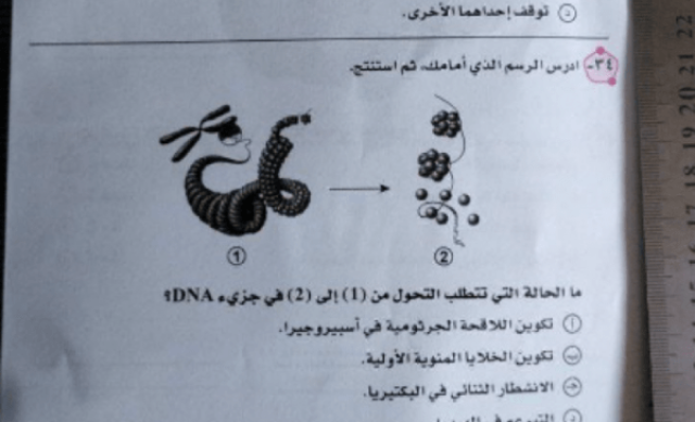 تسريب امتحان الأحياء للصف الثالث الثانوي 2023 مصر أخيرة