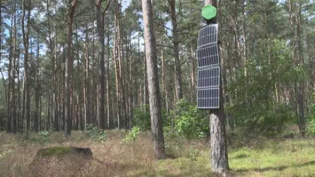 يورونيوز : كيف تساعد 'الأنوف' الإلكترونية على اكتشاف حرائق الغابات في ألمانيا؟