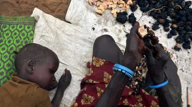 يورونيوز : الفاو: أكثر من 20 مليون سوداني على حافة المجاعة بسبب الحرب