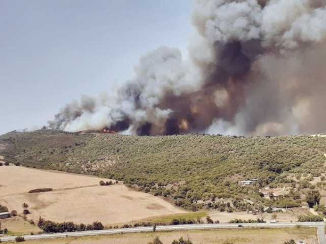 تحذيرات من اندلاع حرائق غابات بالمغرب بفعل ارتفاع درجات الحرارة