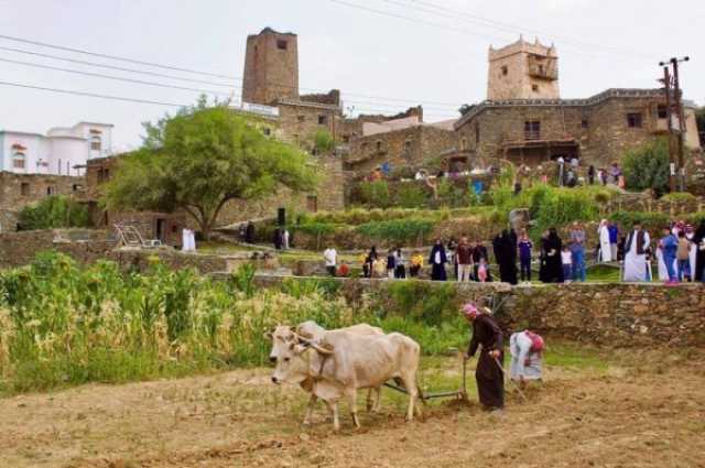 مهرجان الأطاولة يستحوذ على زوار الباحة هذا العام