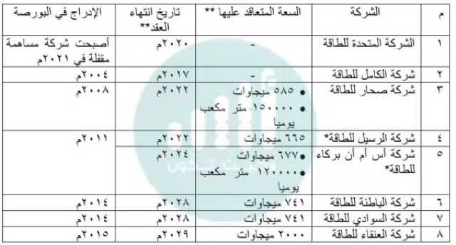 واحدة أعلنت التصفية وأخرى الإفلاس: ما قصة الشركات الـ 7 المرتبطة بالطاقة؟ الجزء الأول