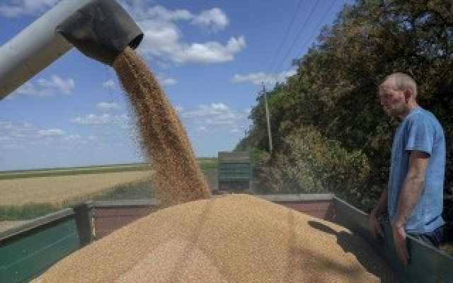 صحيفة البيان : الأمم المتحدة: عدم تمديد اتفاق الحبوب يعني المزيد من الجوع