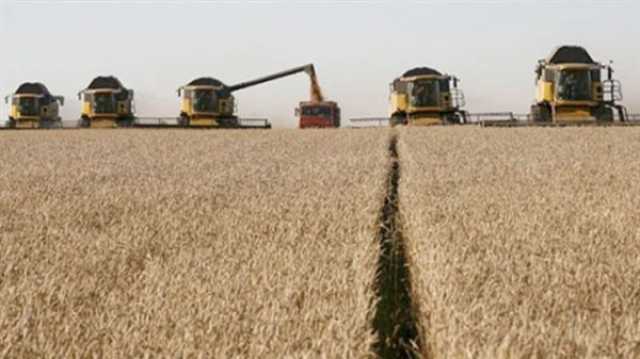 خلال نصف عام.. روسيا تضاعف صادراتها من القمح ثلاث مرات لأفريقيا