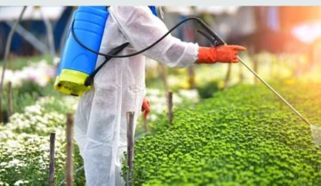 انتهاء مهلة السماح بتصريف كميات المبيدات المتداولة بالأسواق