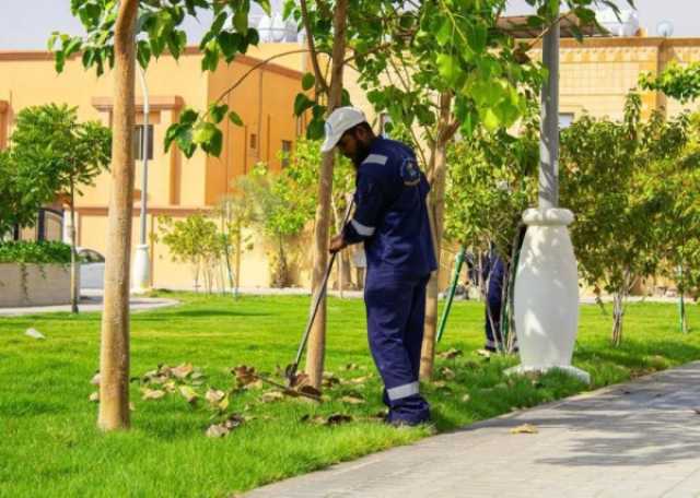 الظهران بالأخضر.. زراعة أكثر من 200 ألف زهرة