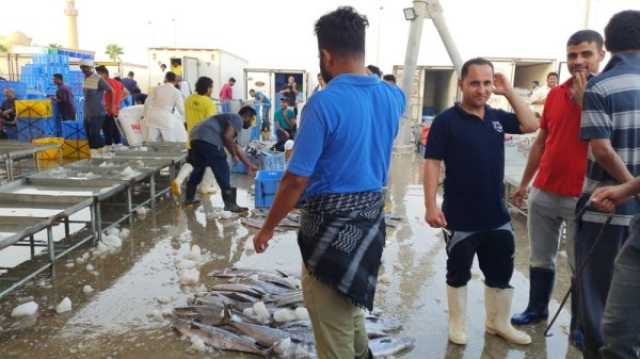 الاقتصاد مع انطلاق موسم الروبيان.. توافد الزوار على جزيرة الأسماك في القطيف