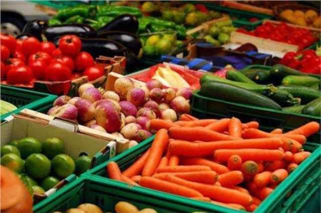 المانجا أرخص من البامية.. أسعار الخضروات والفاكهة اليوم الخميس 20 يوليو 2023 خدمات