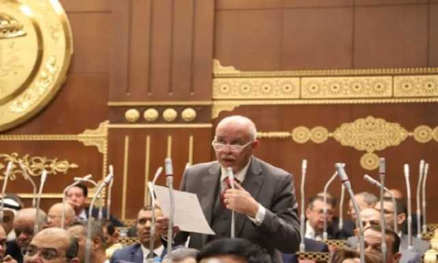 برلماني: مصر تلعب دوراً محورياً في تقديم الدعم للأشقاء السودانيين