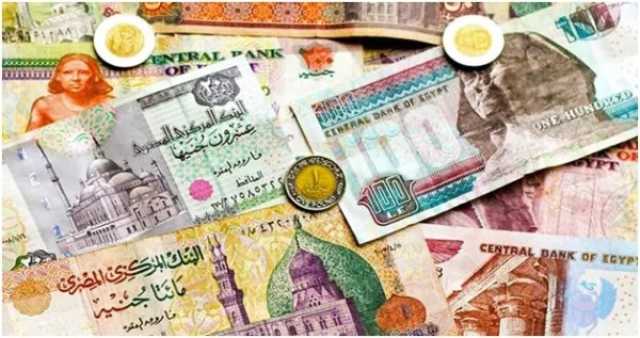 اقتصاد خبير اقتصادي يكشف أسباب اتجاه البنك المركزي برفع سعر الفائدة 1%