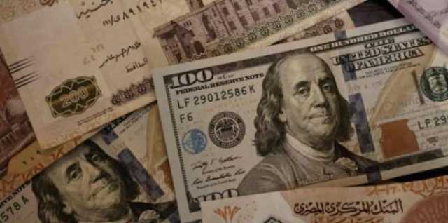 اقتصاد نقص «الدولار» يهدد استمرارية شركات الصرافة