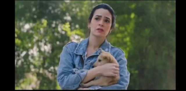 فن ظهور إنجي سلامة خطيبة الراحل هيثم أحمد زكي في مسلسل «ليه لأ 3».. صور