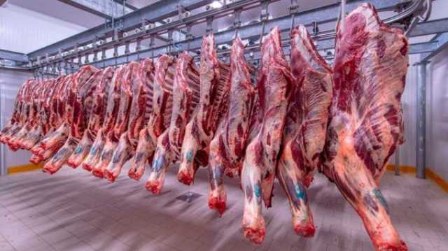 البتلو بـ 300 جنيهًا.. أسعار اللحوم اليوم الأربعاء 2 - 8 - 2023 خدمات