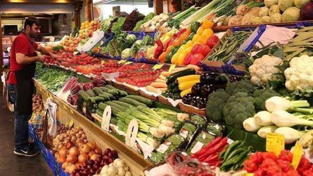 اقتصاد أسعار الخضراوات والفاكهة اليوم الخميس 3 أغسطس 2023