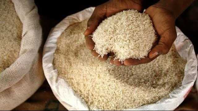 اقتصاد الإمارات تحظر تصدير الأرز بكل أنواعه.. تفاصيل