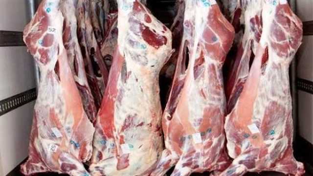 اقتصاد أسعار اللحوم البلدية والمجمدة اليوم الخميس 13 يوليو 2023