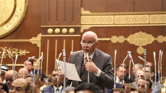 برلماني: استضافة قمة دول الجوار بالقاهرة مبادرة مصرية قوية لتسوية الأزمة السودانية
