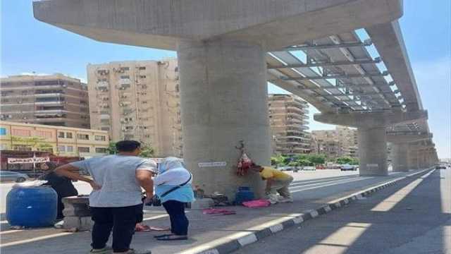 أول تحرك رسمي من محافظة القاهرة على واقعة جزار المونوريل