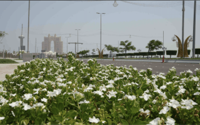 متنوعة الألوان وذات رائحة عطرية.. زراعة 10 ملايين زهرة في أبوظبي خلال 2023