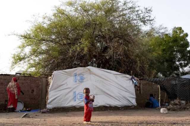 وكالة خبر للأنباء : الجنائية الدولية تفتح تحقيقا جديدا بشأن جرائم حرب في السودان