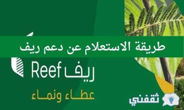 الاستعلام عن دعم ريف 1445 برقم الهوية reef gov وشروط استحقاق الدعم اخبار اليوم