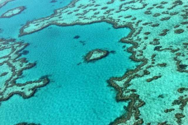 علوم الأمم المتحدة تزن الحاجز المرجاني العظيم لأستراليا  