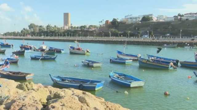 الاتحاد الأوروبي يريد استمرارية شراكة مصايد الأسماك مع المغرب