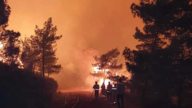بعد عودة الظاهرة.. 3 أسباب لتكرار اندلاع النيران في الغابات التركية