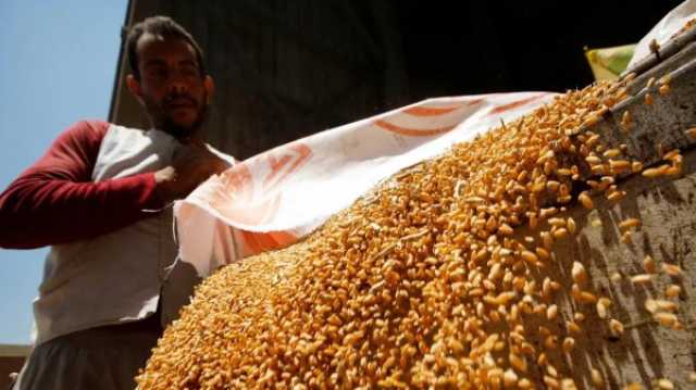 أسواق وزارة التموين المصرية: الاحتياطي الاستراتيجي من القمح يكفي 6 أشهر