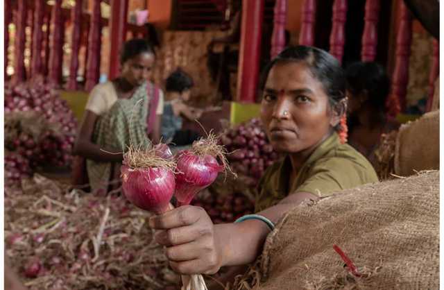 الهند تفرض ضريبة «ضخمة» على صادرات البصل