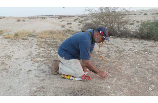د. عبدالكريم: اكتشاف نوع جديد من النمل في البحرين
