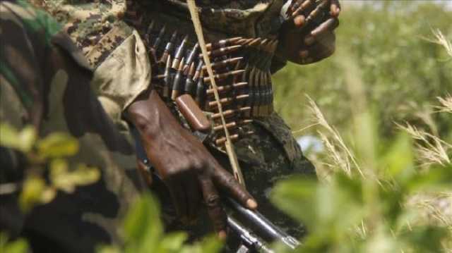 مقتل 26 عنصراً من قوات الأمن النيجيرية في كمين (مصادر عسكرية) #فرانس_برس