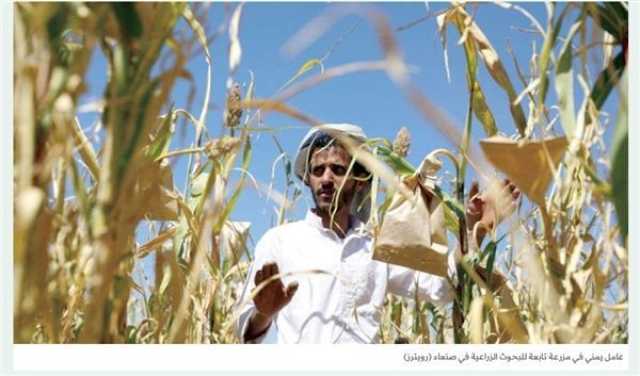 تقرير رقابي يحذر من خطورة استيراد الحوثي للمبيدات السامة بشكل زائد عن الحاجة