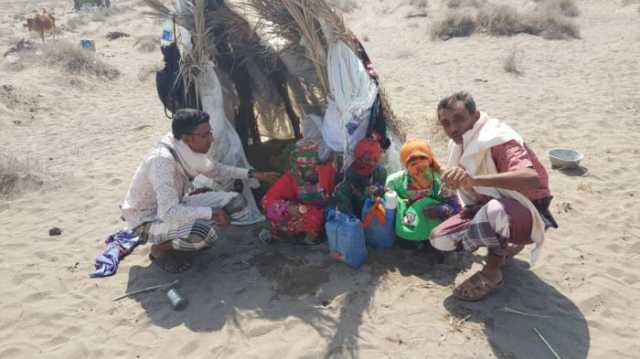 تقرير حكومي: نزوح أكثر من 6500 فرد في اليمن خلال الربع الثالث من عام 2023