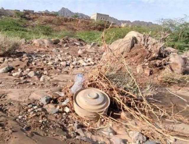 إصابة إمرأة وطفلين بانفجار لغم زرعته مليشيات الحوثي بالكدحة غربي تعز