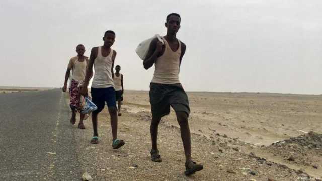 عودة أكثر من 4500 مهاجر إفريقي من اليمن