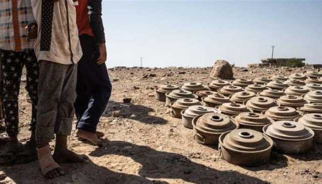 الحديدة.. استشهاد شابين شقيقين بلغم حوثي في الدريهمي