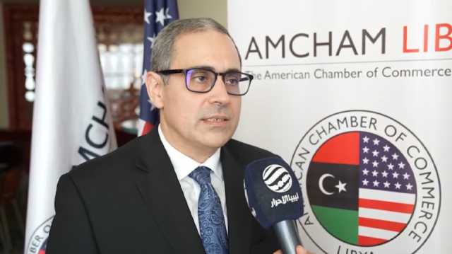 سفير واشنطن يجري لقاءات في طرابلس