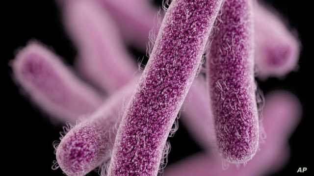 تهدد بملايين الوفيات سنويا.. خطة ثورية للعلماء لمواجهة البكتيريا الخارقة؟