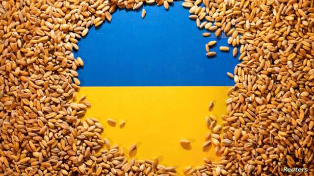 ثلاث دول تتحدى الاتحاد الأوروبي وتمدد الحظر على واردات الحبوب الأوكرانية  