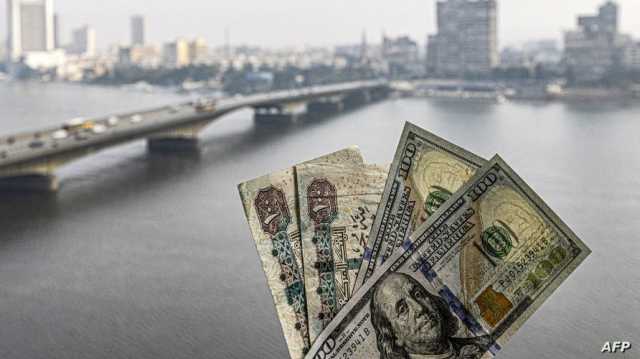 الجنيه المصري يخسر نحو ثلث قيمته أمام الدولار