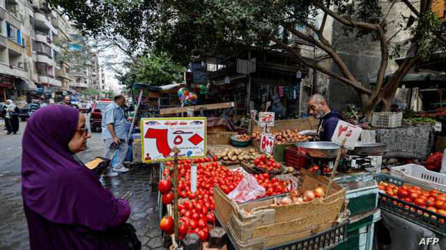 بالتركيز على الاقتصاد.. مصر تستأنف الحوار الوطني