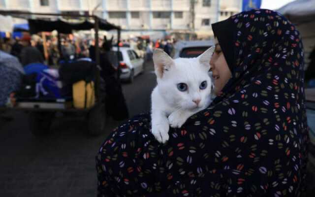 العودة للشمال.. عشرات الآلاف من الفلسطينيين يعودون إلى ركام منازلهم ويتحدون الاحتلال