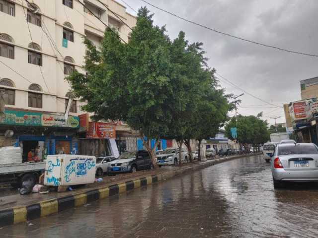 من صعدة إلى سقطرى.. أمطار رعدية على عدد من المحافظات خلال الساعات القادمة.. وتحذيرات مهمة للأرصاد