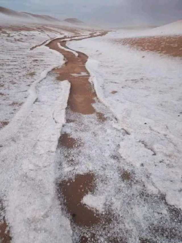 النازحون يستغيثوا من الأمطار الغزيرة التي اقتلعت خيامهم في الجوف